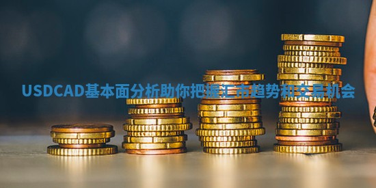 USDCAD基本面分析助你把握汇市趋势和交易机会