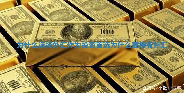 为什么选择外汇作为投资首选 为什么要持有外汇