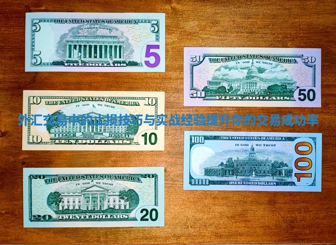 外汇交易中的止损技巧与实战经验提升你的交易成功率