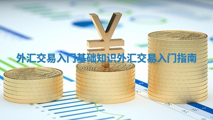 外汇交易入门基础知识 外汇交易入门指南