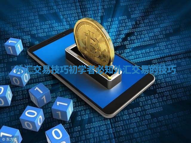 外汇交易技巧初学者必知 外汇交易的技巧