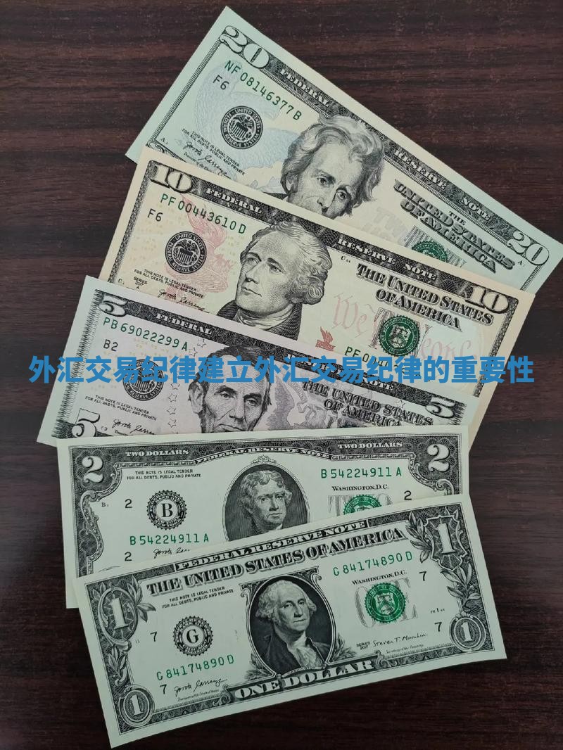外汇交易纪律建立_外汇交易纪律的重要性