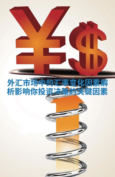 外汇市场中的汇率变化因素解析 影响你投资决策的关键因素
