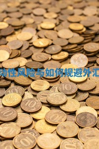 外汇市场中的流动性风险与如何规避 外汇市场流动性不足