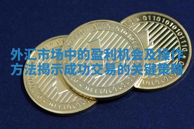 外汇市场中的盈利机会及操作方法揭示成功交易的关键策略