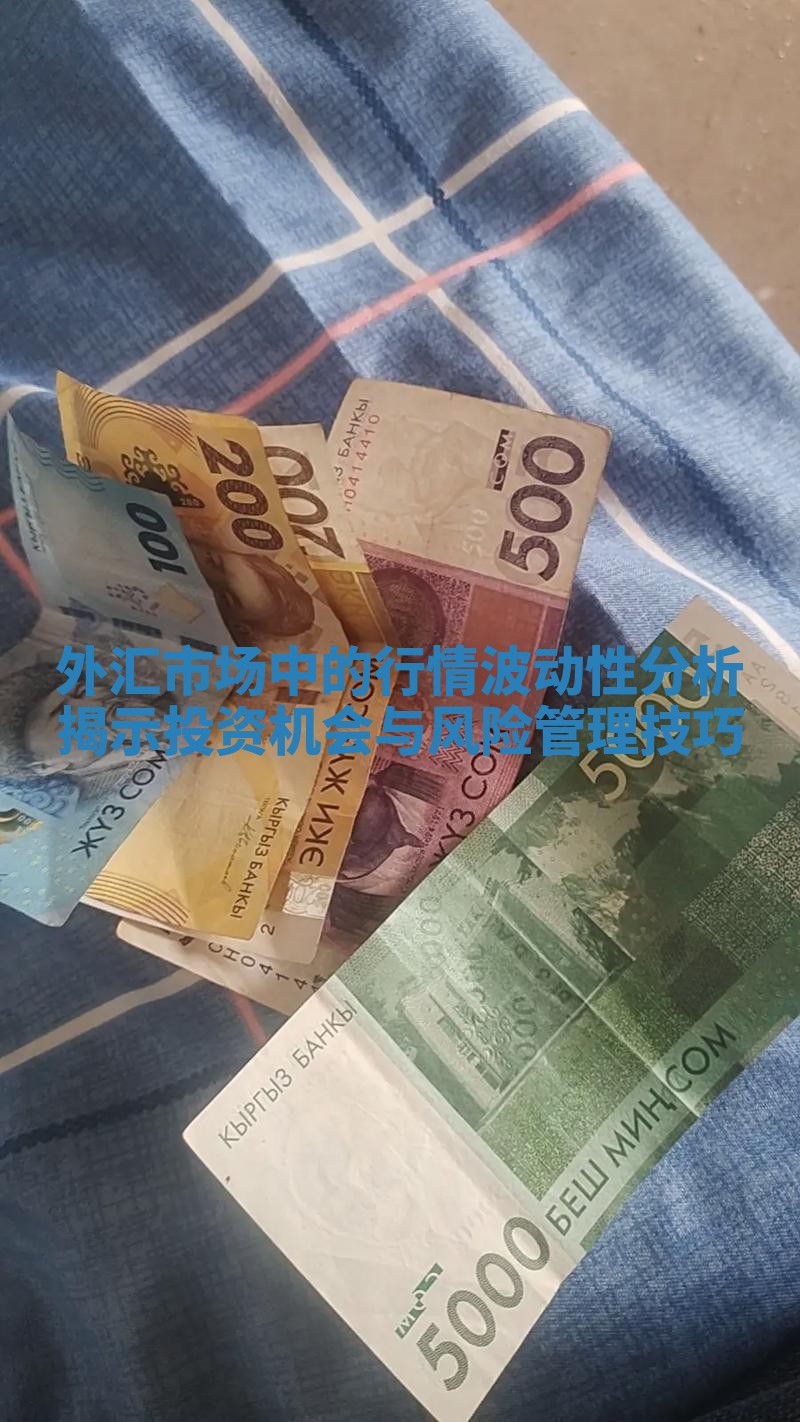 外汇市场中的行情波动性分析揭示投资机会与风险管理技巧