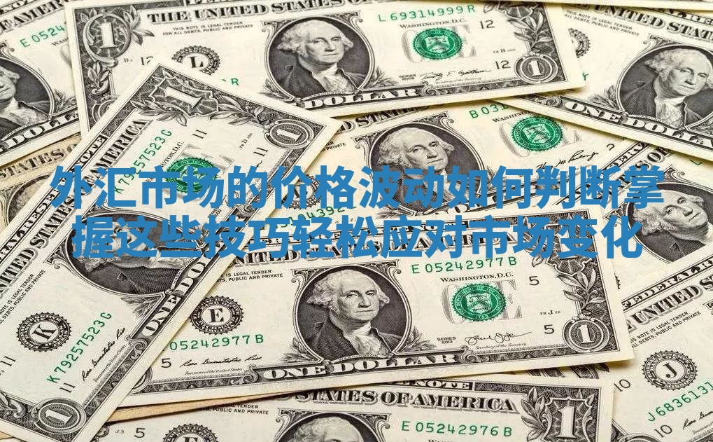 外汇市场的价格波动如何判断掌握这些技巧轻松应对市场变化