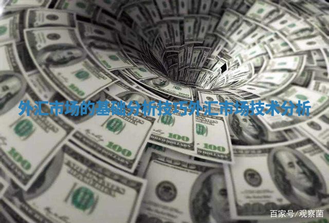 外汇市场的基础分析技巧 外汇市场技术分析