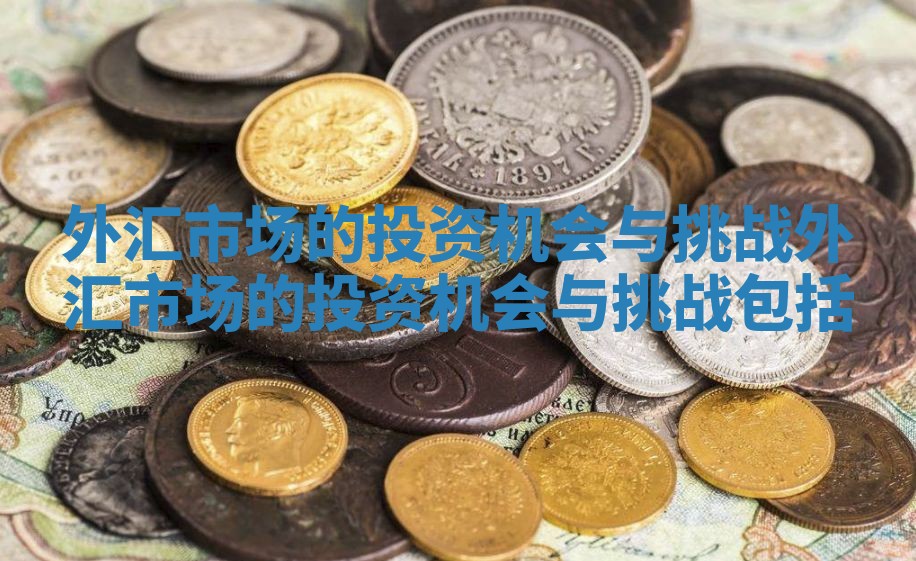 外汇市场的投资机会与挑战_外汇市场的投资机会与挑战包括