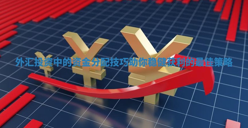 外汇投资中的资金分配技巧助你稳健获利的最佳策略