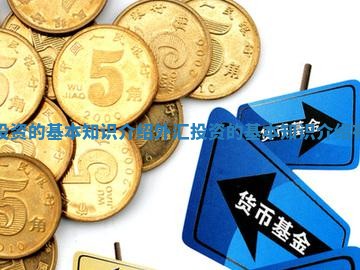 外汇投资的基本知识介绍_外汇投资的基本知识介绍有哪些