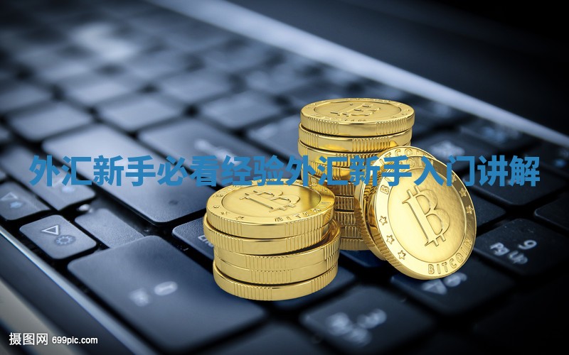 外汇新手必看经验_外汇新手入门讲解