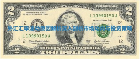 外汇汇率波动原因解析深入剖析市场动向与投资策略