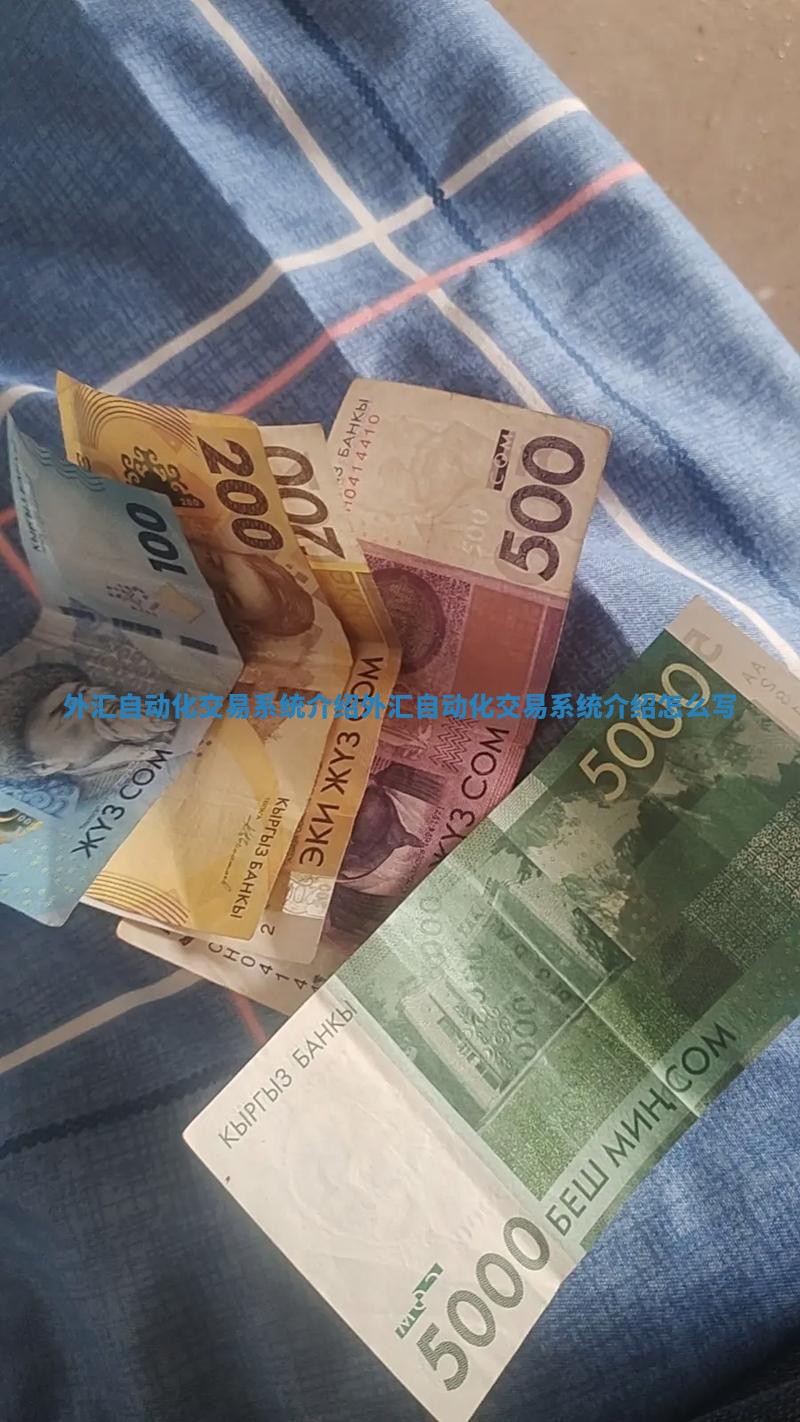 外汇自动化交易系统介绍_外汇自动化交易系统介绍怎么写