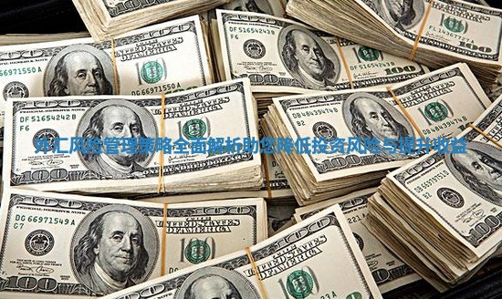 外汇风险管理策略全面解析助您降低投资风险与提升收益