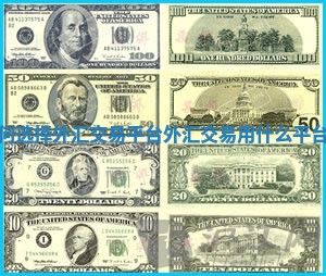 如何选择外汇交易平台_外汇交易用什么平台好