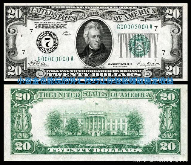 小资金也能玩的外汇技巧让你轻松赚取稳定收益