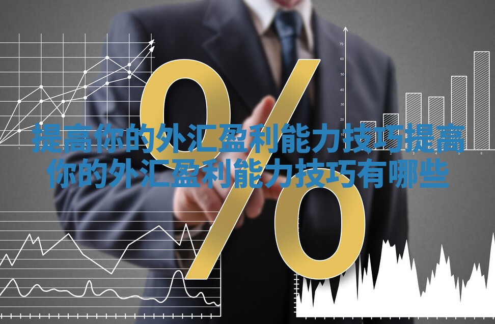 提高你的外汇盈利能力技巧_提高你的外汇盈利能力技巧有哪些