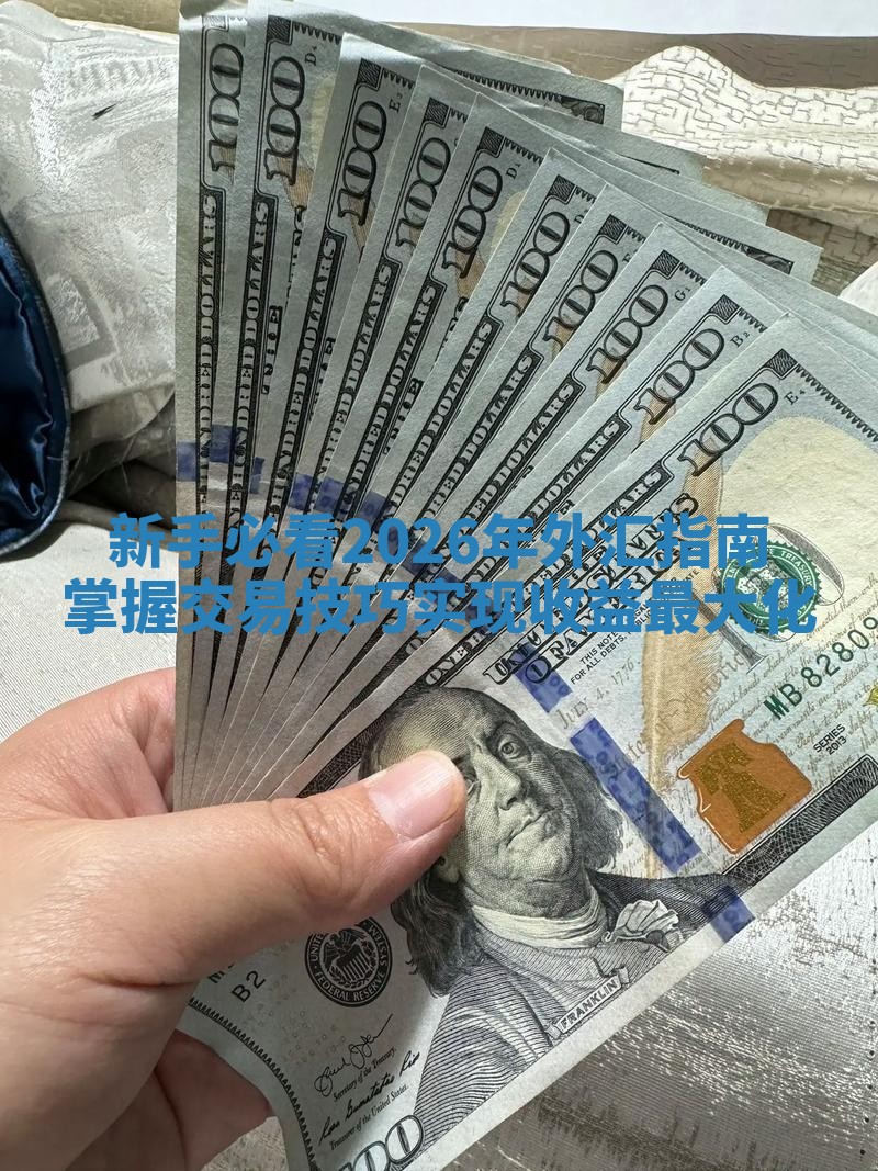 新手必看2026年外汇指南掌握交易技巧实现收益最大化