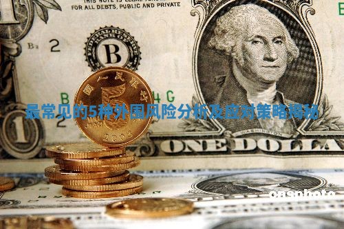 最常见的5种外围风险分析及应对策略揭秘