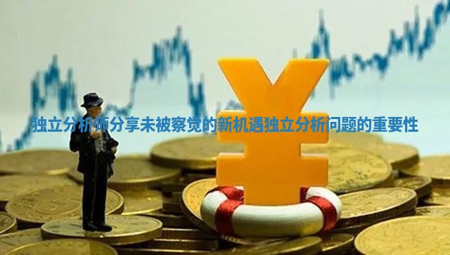 独立分析师分享未被察觉的新机遇_独立分析问题的重要性