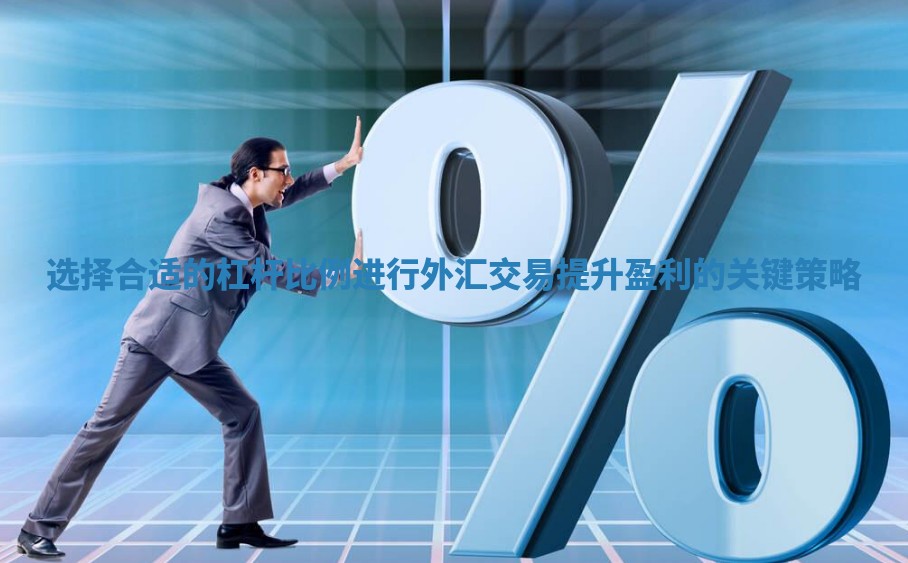 选择合适的杠杆比例进行外汇交易提升盈利的关键策略